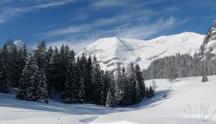 سری هشتاد و هشتم والپیپر زمستان   Beautiful Wallpapers