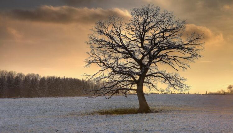 سری هشتاد و پنجم عکس زمینه زمستان   Beautiful Wallpapers