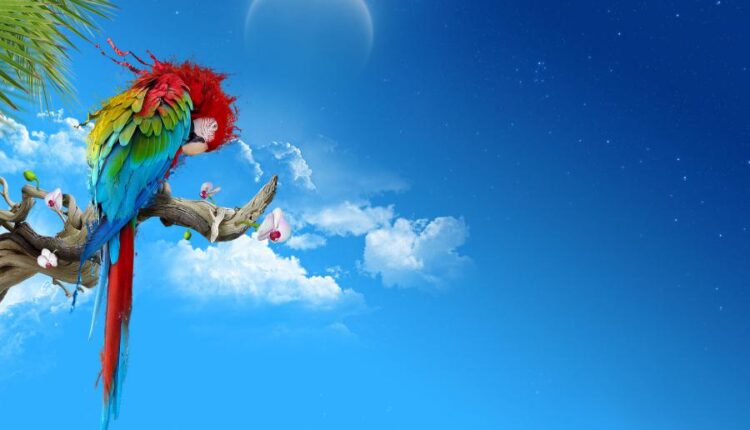 سری نود و دوم بک گراند برای پروفایل   Beautiful Wallpapers