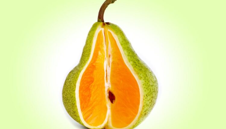 سری هشتاد و چهارم تصویر زمینه برای موبایل   Beautiful Wallpapers