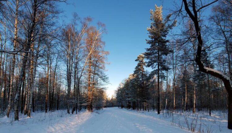 سری هشتاد و هشتم والپیپر زمستان   Beautiful Wallpapers