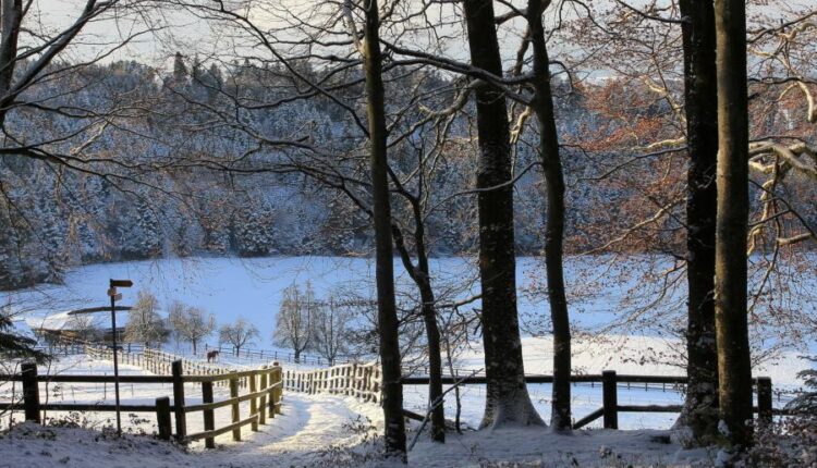 سری هشتاد و ششم تصویر زمینه زمستان   Beautiful Wallpapers