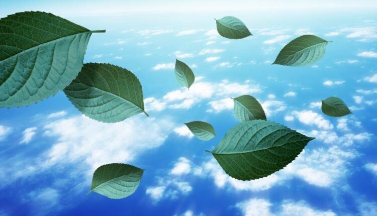 سری هشتاد و سوم والپیپر برای موبایل   Beautiful Wallpapers