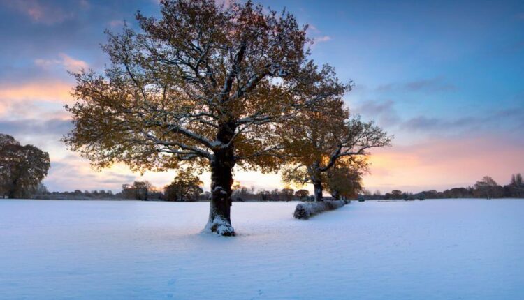 سری هشتاد و ششم تصویر زمینه زمستان   Beautiful Wallpapers