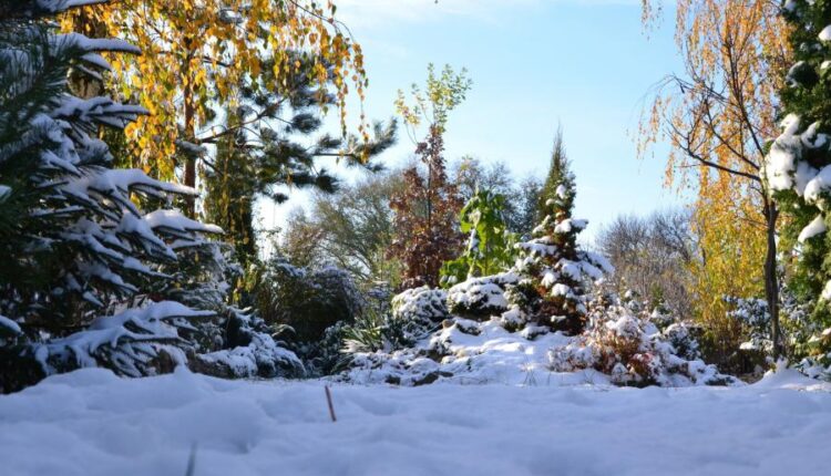 سری هشتاد و ششم تصویر زمینه زمستان   Beautiful Wallpapers