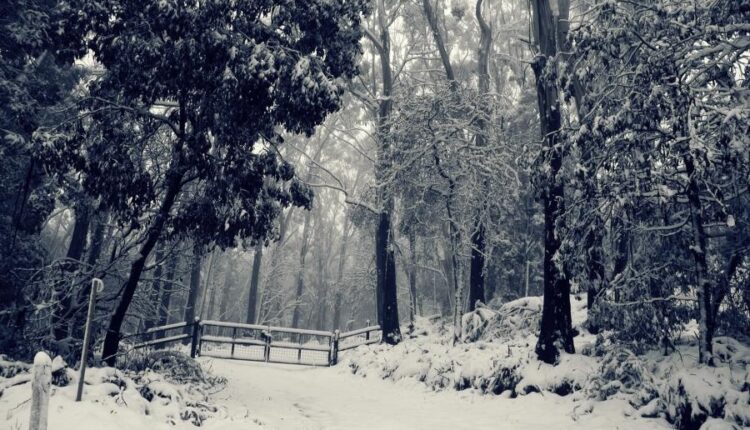 سری هشتاد و پنجم عکس زمینه زمستان   Beautiful Wallpapers