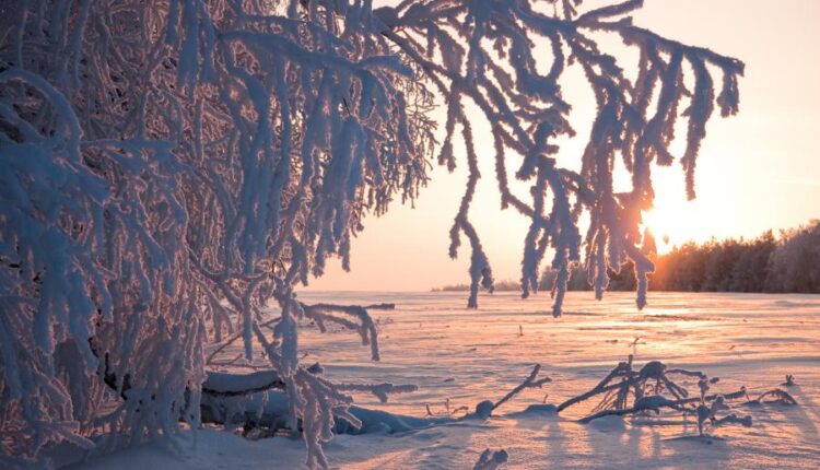 سری هشتاد و ششم تصویر زمینه زمستان   Beautiful Wallpapers