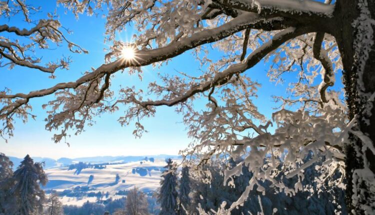 سری هشتاد و هشتم والپیپر زمستان   Beautiful Wallpapers