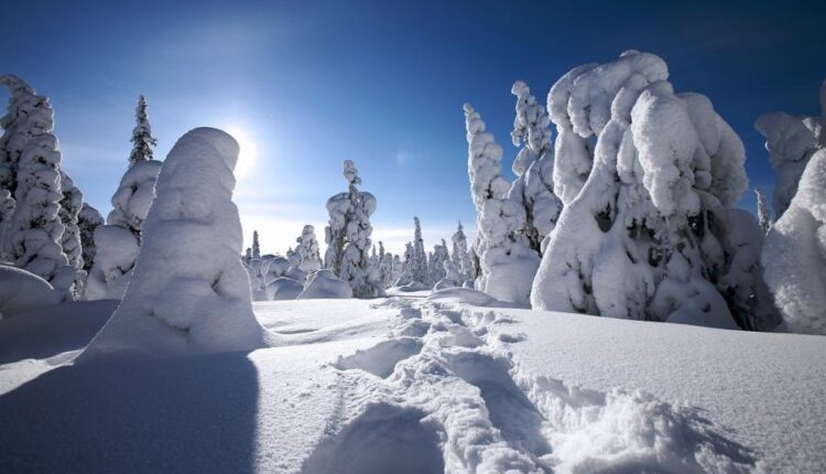 سری هشتاد و هشتم والپیپر زمستان   Beautiful Wallpapers