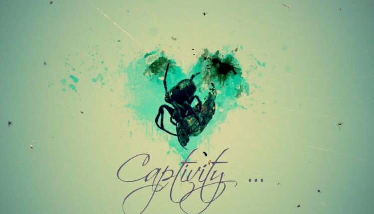 سری نود و دوم بک گراند برای پروفایل   Beautiful Wallpapers