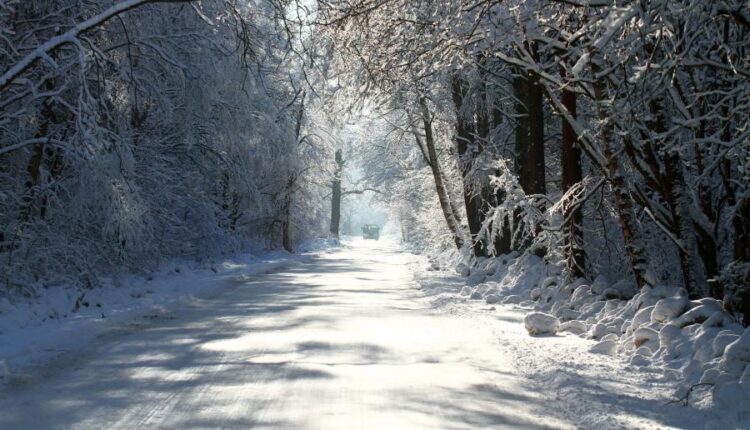 سری هشتاد و پنجم عکس زمینه زمستان   Beautiful Wallpapers