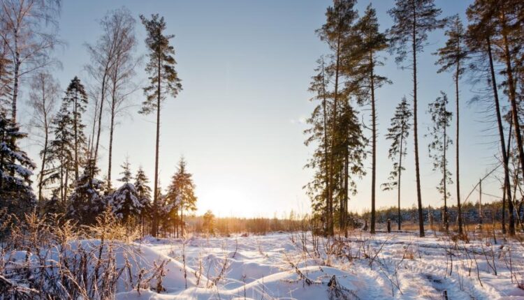 سری هشتاد و ششم تصویر زمینه زمستان   Beautiful Wallpapers