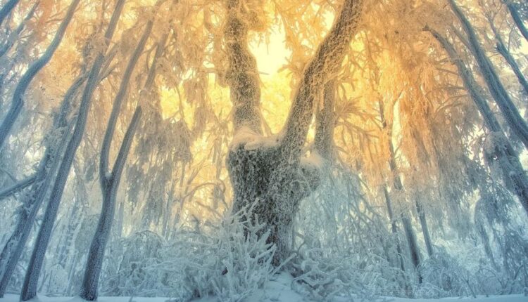 سری هشتاد و پنجم عکس زمینه زمستان   Beautiful Wallpapers