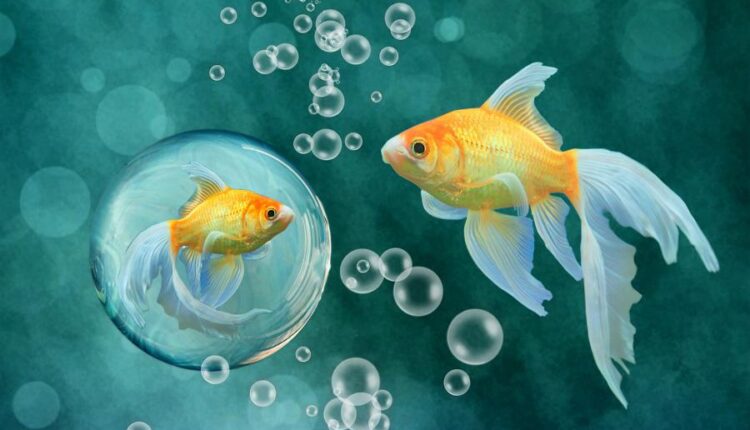 سری نودم عکس زمینه برای پروفایل  Beautiful Wallpapers