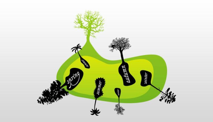 سری هشتاد و نهم عکس زمینه برای موبایل   Beautiful Wallpapers