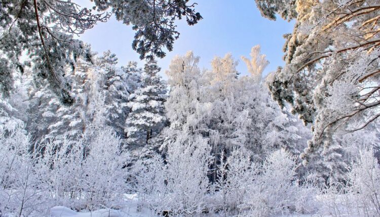 سری هشتاد و ششم تصویر زمینه زمستان   Beautiful Wallpapers