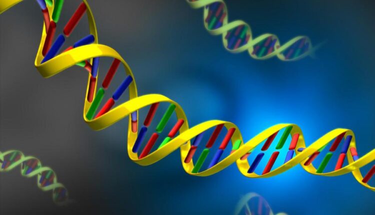 سری هشتاد و نهم عکس زمینه برای موبایل   Beautiful Wallpapers