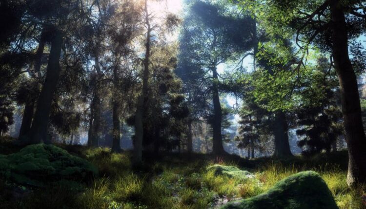 سری نود و دوم بک گراند برای پروفایل   Beautiful Wallpapers