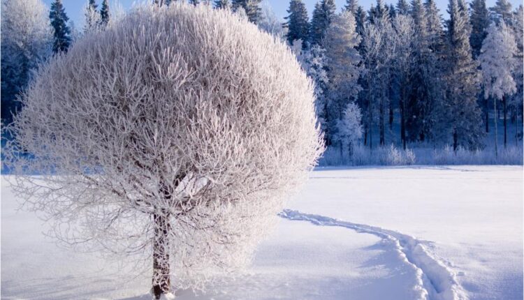 سری هشتاد و پنجم عکس زمینه زمستان   Beautiful Wallpapers