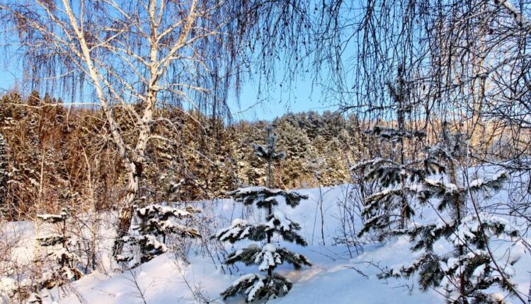 سری هشتاد و ششم تصویر زمینه زمستان   Beautiful Wallpapers