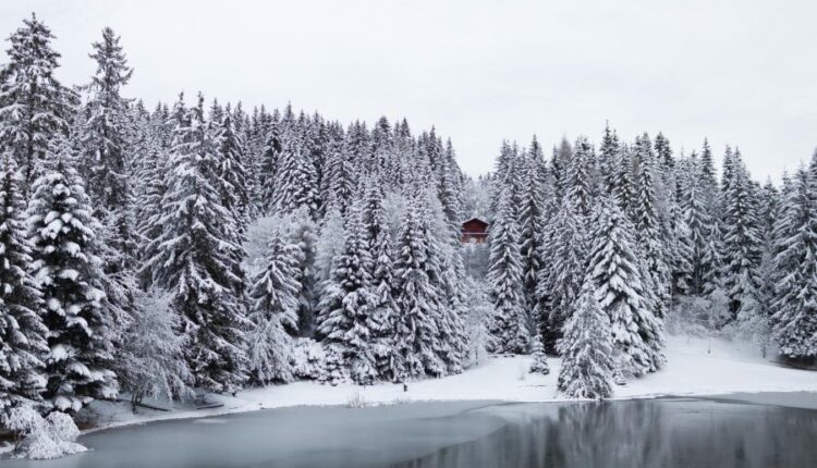 سری هشتاد و پنجم عکس زمینه زمستان   Beautiful Wallpapers