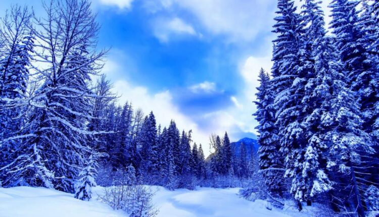 سری هشتاد و ششم تصویر زمینه زمستان   Beautiful Wallpapers