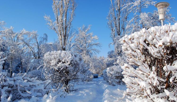 سری هشتاد و پنجم عکس زمینه زمستان   Beautiful Wallpapers