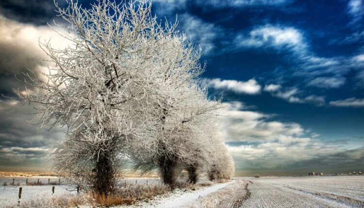 سری هشتاد و ششم تصویر زمینه زمستان   Beautiful Wallpapers