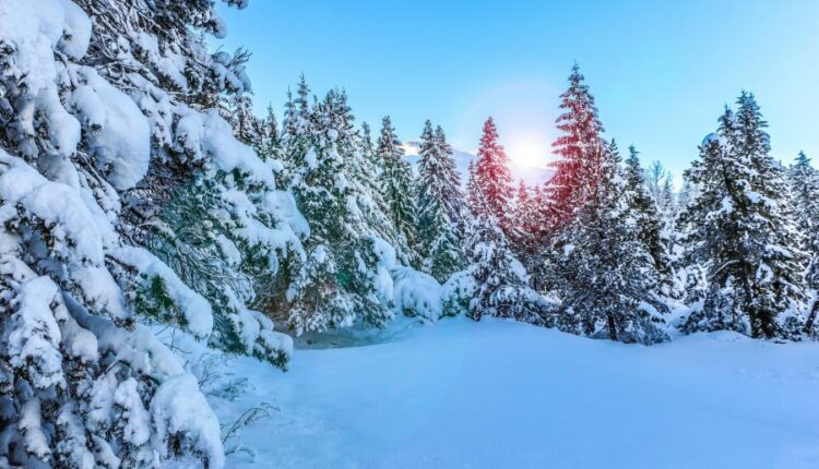 سری هشتاد و پنجم عکس زمینه زمستان   Beautiful Wallpapers