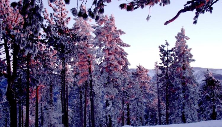 سری هشتاد و ششم تصویر زمینه زمستان   Beautiful Wallpapers