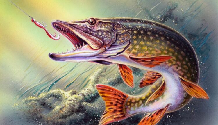 سری نود و دوم بک گراند برای پروفایل   Beautiful Wallpapers