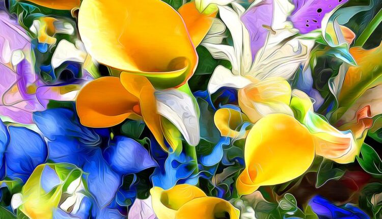 سری هشتاد و نهم عکس زمینه برای موبایل   Beautiful Wallpapers