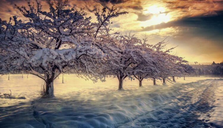 سری هشتاد و ششم تصویر زمینه زمستان   Beautiful Wallpapers