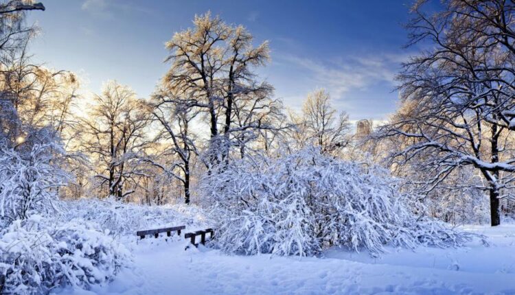 سری هشتاد و پنجم عکس زمینه زمستان   Beautiful Wallpapers