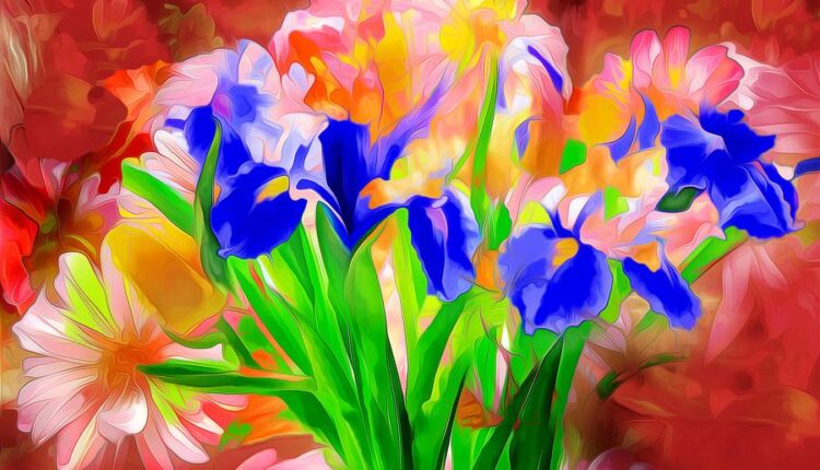 سری نودم عکس زمینه برای پروفایل  Beautiful Wallpapers