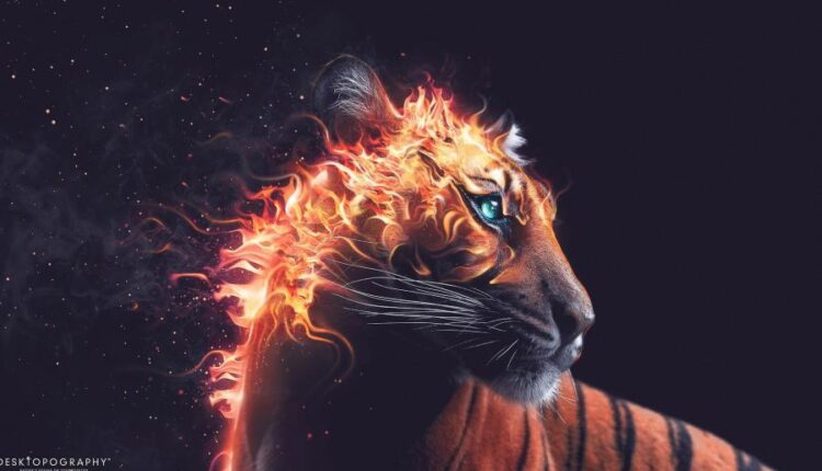 سری هشتاد و چهارم تصویر زمینه برای موبایل   Beautiful Wallpapers