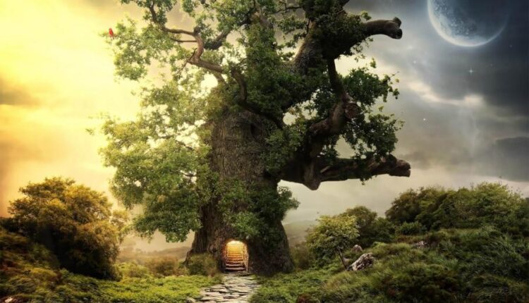 سری هشتاد و هفتم بک گراند برای موبایل   Beautiful Wallpapers