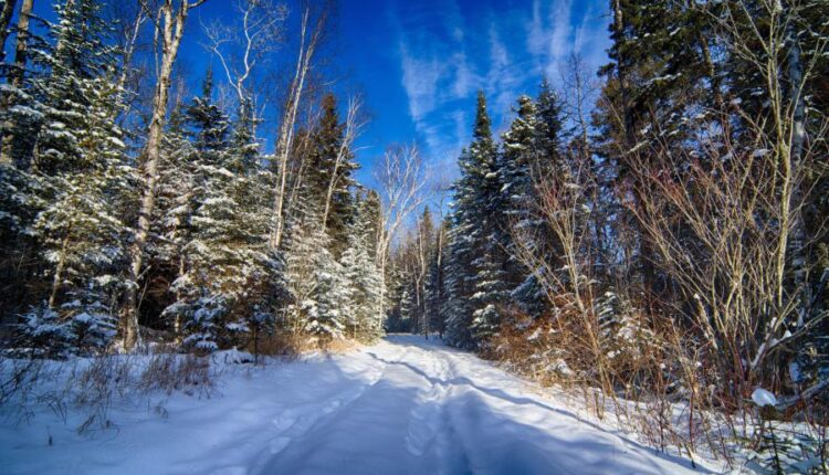 سری هشتاد و هشتم والپیپر زمستان   Beautiful Wallpapers