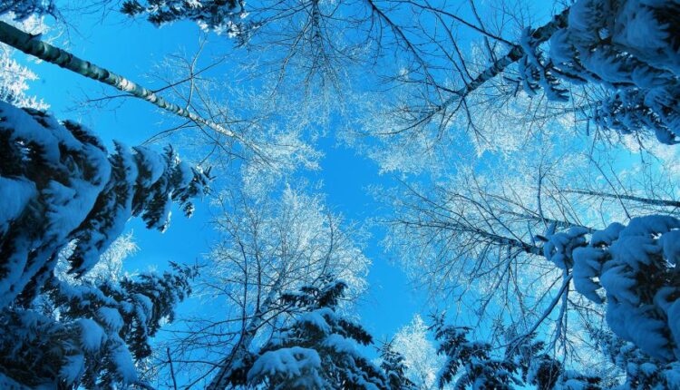 سری هشتاد و پنجم عکس زمینه زمستان   Beautiful Wallpapers