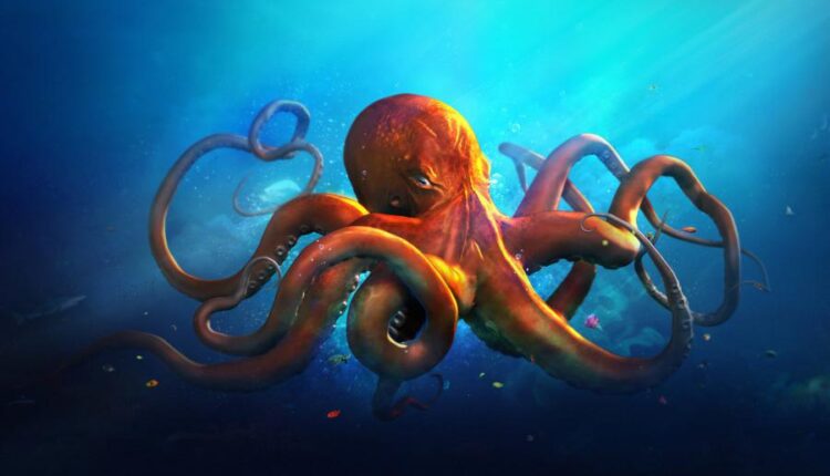 سری هشتاد و سوم والپیپر برای موبایل   Beautiful Wallpapers