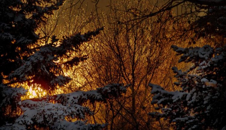 سری هشتاد و ششم تصویر زمینه زمستان   Beautiful Wallpapers