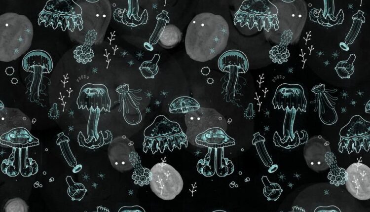 سری هشتاد و چهارم تصویر زمینه برای موبایل   Beautiful Wallpapers