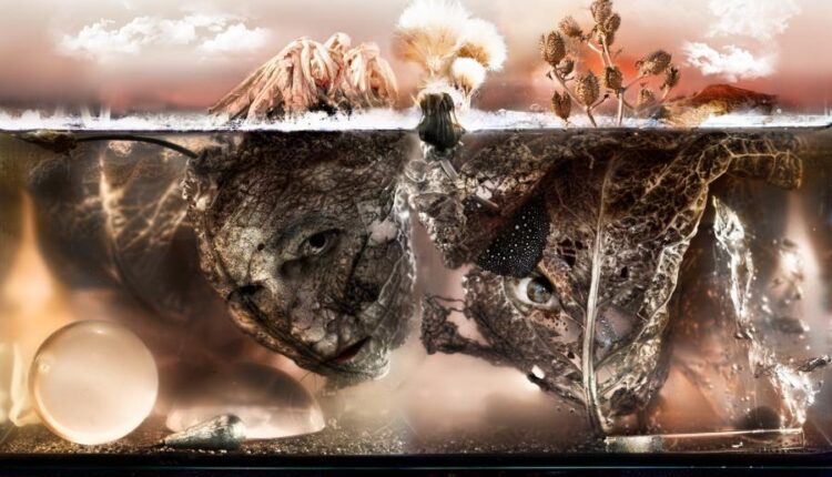 سری هشتاد و هفتم بک گراند برای موبایل   Beautiful Wallpapers