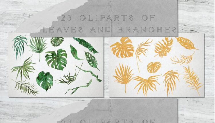 مجموعه بافت ها و نقوش طاووس آبی   Peacock Blue Watercolor