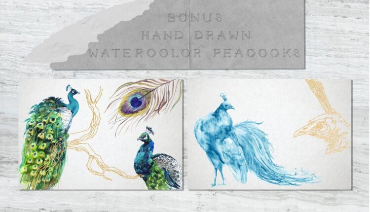 مجموعه بافت ها و نقوش طاووس آبی   Peacock Blue Watercolor
