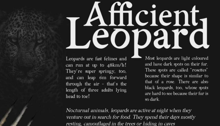 مجموعه 38 فونت و 2 براش برای Procreate