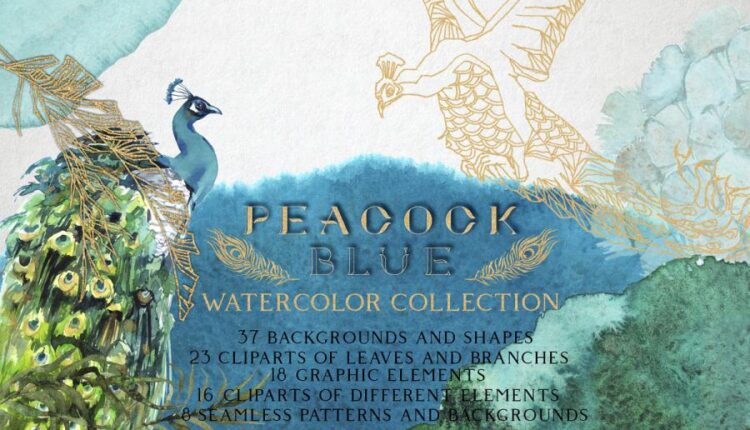 مجموعه بافت ها و نقوش طاووس آبی   Peacock Blue Watercolor