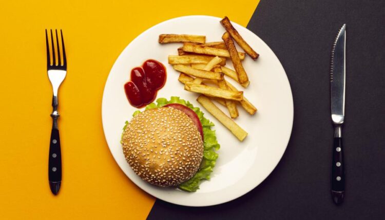 عکس استوک همبرگر و فست فود   Hamburger Stock