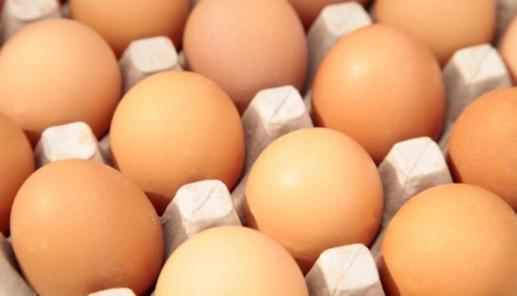 عکس استوک تخم مرغ   Eggs 15 UHQ JPEG