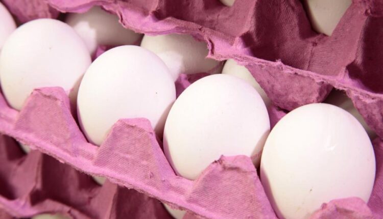 عکس استوک تخم مرغ   Eggs 15 UHQ JPEG